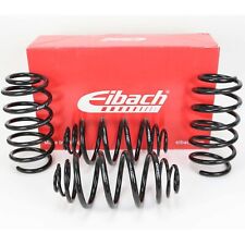 Eibach pro kit for sale  Magee