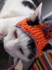 Cat hat cats for sale  BANBURY