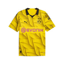 Puma bvb cup gebraucht kaufen  Neudrossenfeld