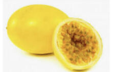 Passion fruit seeds for sale  USA