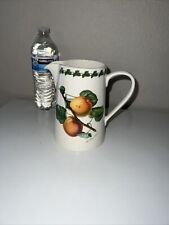 Portmeirion pomona cup for sale  Auburn