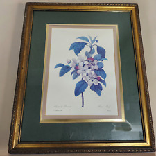 Large Vintage Framed Floral Wall Art Print Langlois Artwork By P J Redoute 109 for sale  Shipping to South Africa