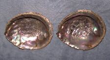 Large Red Abalone (Haliotis Rufescens) Sea Shells  6” x 5”  Lot of 2 for sale  Shipping to South Africa
