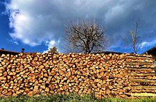 Brennholz kaminholz buche gebraucht kaufen  Teisnach