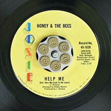Hear honey bees for sale  North Tonawanda