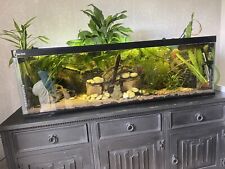 Fish tank aquarium for sale  SOUTHAM
