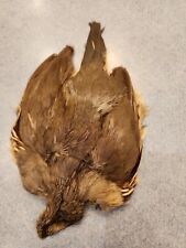 Valley quail feathers for sale  Hinton