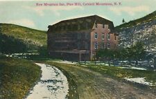 Used, PINE HILL NY - New Mountain Inn - Catskill Mountains for sale  Shipping to South Africa