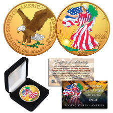 Moneda Águila Americana de Plata 2024 2024 doble dorada y coloreada - tipo 2 segunda mano  Embacar hacia Argentina