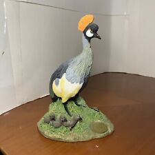 Grey crowned crane for sale  Doylestown