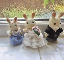 Sylvanian families 2011 for sale  Shipping to Ireland