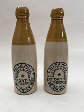 Antique ginger beer for sale  HEREFORD