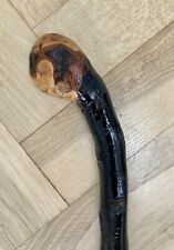 Lindo espinheiro irlandês reto de 35 polegadas muito espinhoso com cabo de bola de raiz comprar usado  Enviando para Brazil