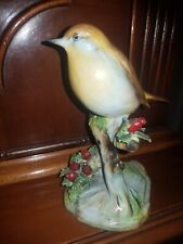 Royal adderley bird for sale  SHREWSBURY