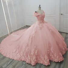 Vestidos de baile de festa rosa apliques de renda Quinceanera princesa doce 15 anos comprar usado  Enviando para Brazil