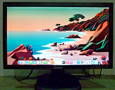 View Sonic TD2220 22 in. Monitor de pantalla LCD táctil resistivo segunda mano  Embacar hacia Argentina