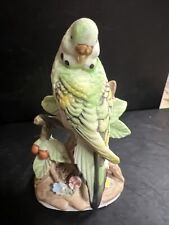 4 parakeets for sale  Boynton Beach