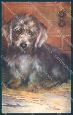 Animals Maud West Watson Dandie Dinmont Terrier Dog Tuck Oilette postcard TW1240, used for sale  Shipping to South Africa