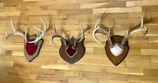 antique horns deer buck for sale  Jackson