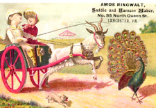 1882 amos ringwalt for sale  Biddeford