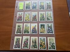 Cigarette cards gallaher for sale  SOUTHAMPTON