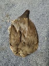 Qp70 quail pelt for sale  Hinton