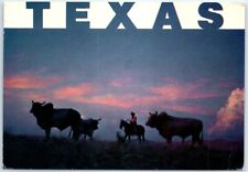 Postcard brahman cattle for sale  Stevens Point