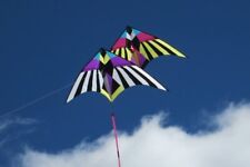 Kites for sale  Webster