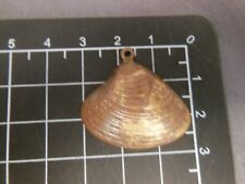 Sea shell form d'occasion  Expédié en Belgium