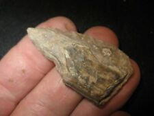 Prehistoric east texas d'occasion  Expédié en Belgium