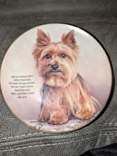 Yorkie danbury mint for sale  Earling