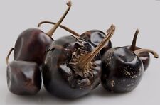 Cascabel Chile Organic Healthy Prostate Fresh Viable 30 Seeds Of Original Mexico for sale  Shipping to Ireland