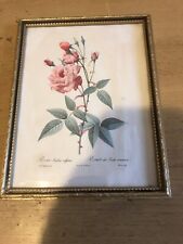 Used, Framed vintage rosa for sale  LONDON