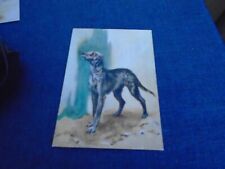 Vintage postcard deerhound for sale  BRIGHTON