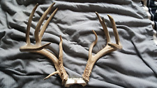 Droptine 142 whitetail for sale  Florence