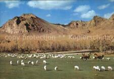 72601559 Schafe Bogdyn Gol River Zabhan Aimak Mongolia Tiere comprar usado  Enviando para Brazil