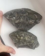 Used, Two Partial Large Fossil Ammonite Sections Kettleness Yorkshire for sale  Shipping to South Africa