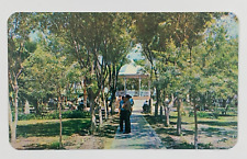 Cartão postal antigo não publicado quiosque no jardim principal Reynosa Tamaulipas México, usado comprar usado  Enviando para Brazil