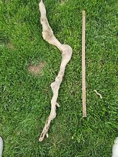 Large driftwood root for sale  Lexington