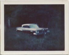 Polaroid hallucinatory view for sale  New York