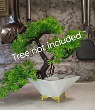 Mame bonsai pot for sale  Grants Pass