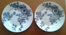 Coppia piatti ceramica usato  Serravalle Scrivia