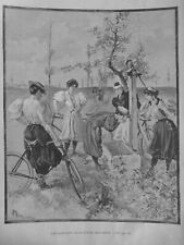 1897 velocipede women d'occasion  Expédié en Belgium