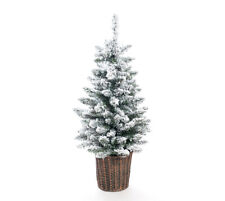 Weihnachtsbaum tannenbaum kief gebraucht kaufen  Wittlich