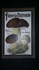 Pilzbuch 1919 pilzkunde gebraucht kaufen  Bad Soden-Salmünster