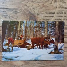 Postcard gathering sap for sale  LLANDINAM