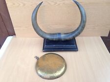 Buffalo horns mounted for sale  FERNDOWN