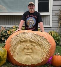 Atlantic giant pumpkin for sale  Wheaton