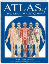 Atlas Of Human Anatomy (Livros de Estudo Rápido) por BarCharts, Inc., usado comprar usado  Enviando para Brazil