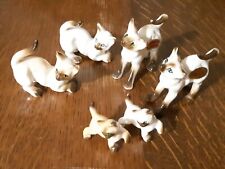 Collezione gattini miniatura usato  Roma